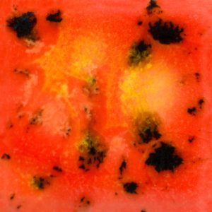 Day Lily Jungle Gems