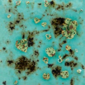 CG-1008 - Blue Guppy