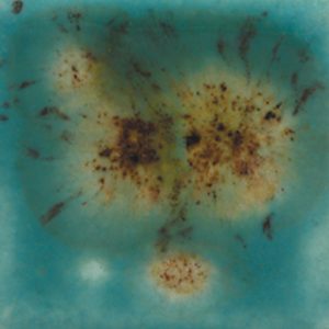 S-2724 - Lotus Blossom