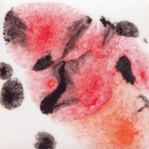 S-2727 - Poppy Fields