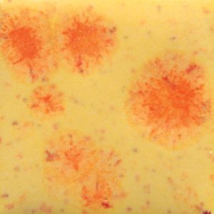 S-2729 - Citrus Splash