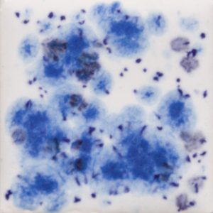 S-2701 - Peacock Eyes