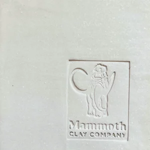 Mammoth Clay L&R Fools Gold High Fire Cone 10 at Throw & Fire Arizona