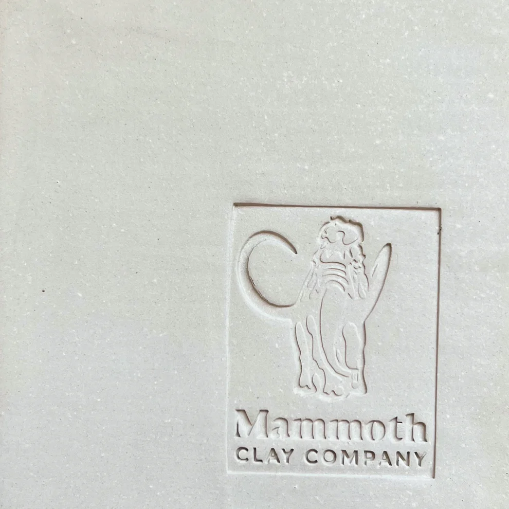 Mammoth Clay L&R Fools Gold High Fire Cone 10 at Throw & Fire Arizona