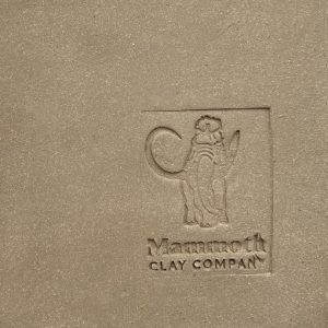 Mammoth Clay L&R Scott's Body High Fire Cone 10 at Throw & Fire Arizona